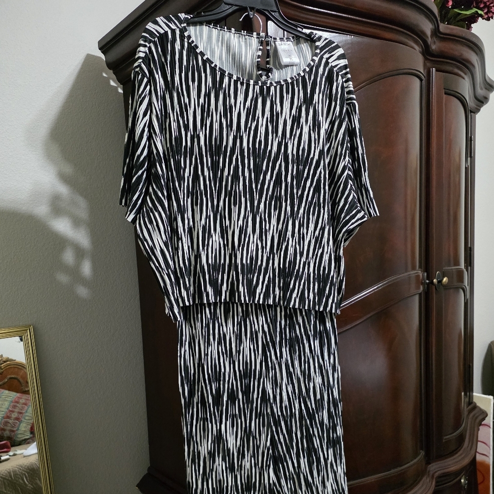 Black and White Zebra Print Fabric 2pc
